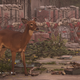 Image for article titled My Journey To Photograph All The Wildlife In The Division 2